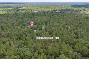 15624 Peace Blvd, Spring Hill, FL 34610 - Photo 53