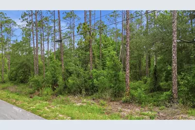 0000 SW Nautilus Boulevard, Dunnellon, FL 34431 - Photo 3