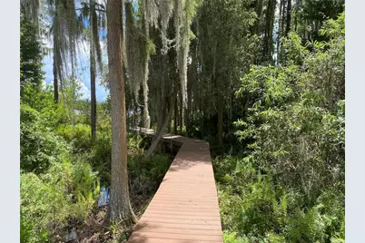21430 Draycott Way, Land O Lakes, FL 34637 - Photo 15