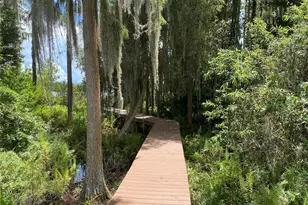 21430 Draycott Way, Land O Lakes, FL 34637 - Photo 15