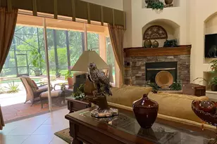 21430 Draycott Way, Land O Lakes, FL 34637 - Photo 29