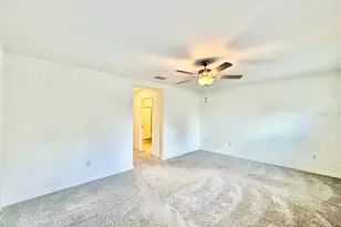 17657 Nectar Flume Dr, Land O Lakes, FL 34638 - Photo 25