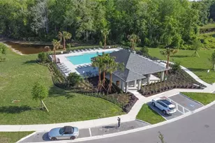 17657 Nectar Flume Dr, Land O Lakes, FL 34638 - Photo 35