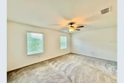 17657 Nectar Flume Drive, Land O Lakes, FL 34638 - Photo 23