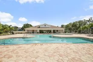 17628 Bright Wheat Dr, Lithia, FL 33547 - Photo 51