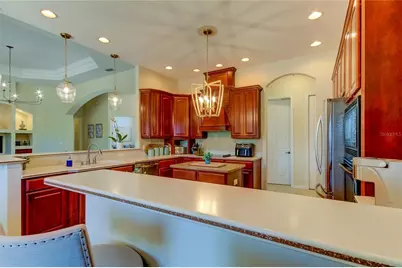 1422 Aristides Court, Odessa, FL 33556 - Photo 29