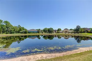 1422 Aristides Ct, Odessa, FL 33556 - Photo 73