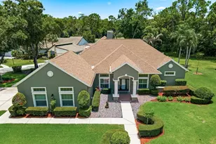 3480 Tanglewood Trail, Palm Harbor, FL 34685 - Photo 57