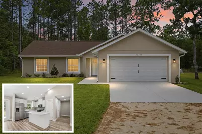 16325 Force Road, Brooksville, FL 34614 - Photo 1