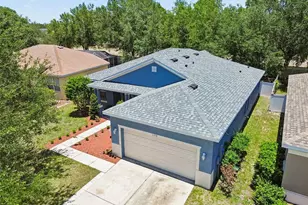 11318 Bridge Pine Dr, Riverview, FL 33569 - Photo 41