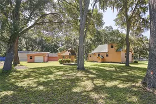29953 Briarthorn Loop, Wesley Chapel, FL 33545 - Photo 9