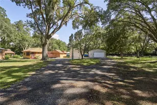 29953 Briarthorn Loop, Wesley Chapel, FL 33545 - Photo 3