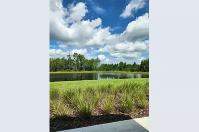 8852 Gallantree Place, Land O Lakes, FL 34637 - Photo 37