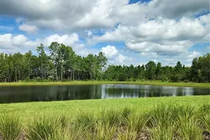 8852 Gallantree Pl, Land O Lakes, FL 34637 - Photo 37