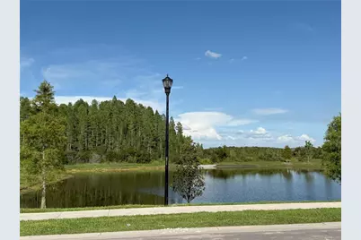 2113 Warren Acres Boulevard, Wesley Chapel, FL 33543 - Photo 23