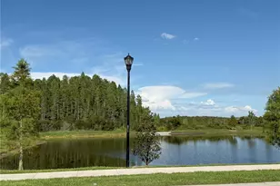 2113 Warren Acres Blvd, Wesley Chapel, FL 33543 - Photo 23