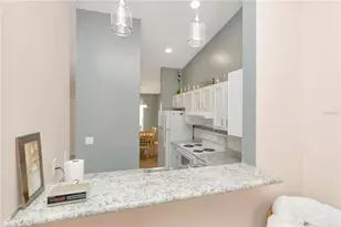 3909 Carroll Cypress Ct, Tampa, FL 33614 - Photo 9