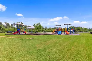 10631 Heron Hideaway Loop, Land O Lakes, FL 34638 - Photo 61