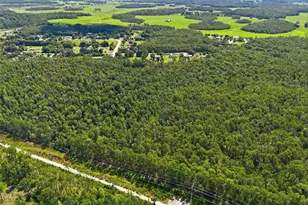 3213 Cypress Trails Dr, Polk City, FL 33868 - Photo 25