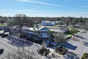 1460 Ribolla Dr, Palm Harbor, FL 34683 - Photo 43