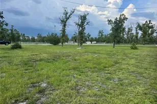 2699 Live Oak Rd, Perry, FL 32348 - Photo 13
