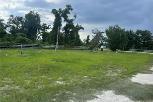 2699 Live Oak Rd, Perry, FL 32348 - Photo 11