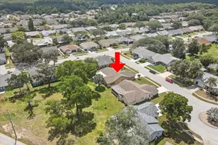 9909 St Joseph Ct, New Port Richey, FL 34655 - Photo 33
