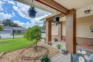 9909 St Joseph Ct, New Port Richey, FL 34655 - Photo 3