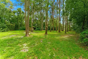 1444 Chesapeake Dr, Odessa, FL 33556 - Photo 5