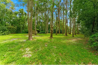 1444 Chesapeake Drive, Odessa, FL 33556 - Photo 25