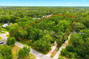 1444 Chesapeake Dr, Odessa, FL 33556 - Photo 3