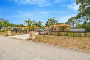 8610 Vivian Bass Way, Odessa, FL 33556 - Photo 3