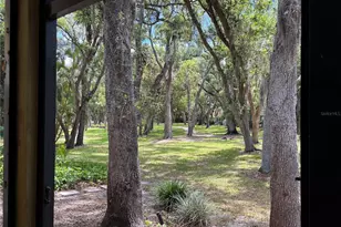 3640 41st Ln S, Saint Petersburg, FL 33711 - Photo 35