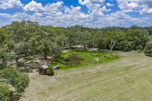 13031 Bellamy Brothers Blvd, Dade City, FL 33525 - Photo 5