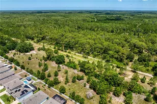 3288 Tucson Wind Pl, Odessa, FL 33556 - Photo 87