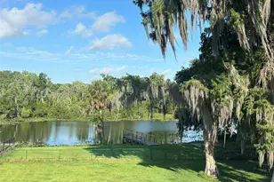 1105 S 9th St, Leesburg, FL 34748 - Photo 43