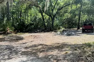 901 Shoals Landing Dr, Brandon, FL 33511 - Photo 1