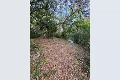 901 Shoals Landing Drive, Brandon, FL 33511 - Photo 5