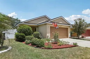 11339 Palm Island Ave, Riverview, FL 33569 - Photo 3