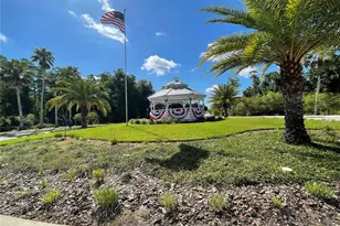 10839 Wild Cotton Ct, Land O Lakes, FL 34638 - Photo 47