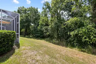 15849 Fishhawk View Dr, Lithia, FL 33547 - Photo 25