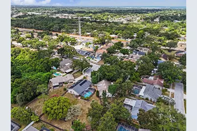 2773 Jeffrey Drive, Palm Harbor, FL 34684 - Photo 47