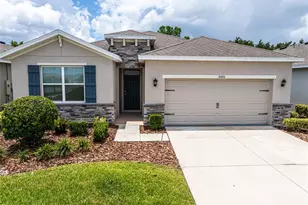 31420 Tansy Bnd, Wesley Chapel, FL 33545 - Photo 1