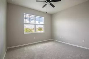 31420 Tansy Bnd, Wesley Chapel, FL 33545 - Photo 45