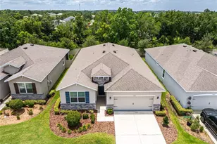 31420 Tansy Bnd, Wesley Chapel, FL 33545 - Photo 5