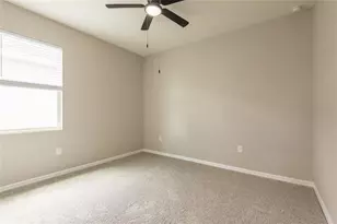 31420 Tansy Bnd, Wesley Chapel, FL 33545 - Photo 49