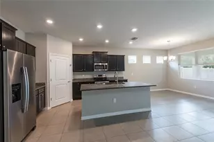 31420 Tansy Bnd, Wesley Chapel, FL 33545 - Photo 29
