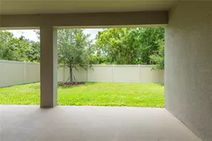 31420 Tansy Bnd, Wesley Chapel, FL 33545 - Photo 53