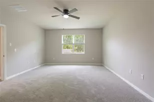31420 Tansy Bnd, Wesley Chapel, FL 33545 - Photo 37