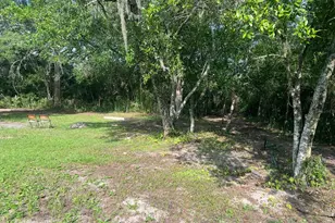 20456 SE 140th St, Umatilla, FL 32784 - Photo 35